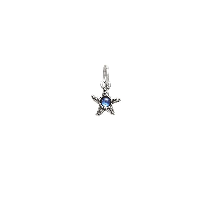 CHARM STELLA MARINA COLOR - RASPINI