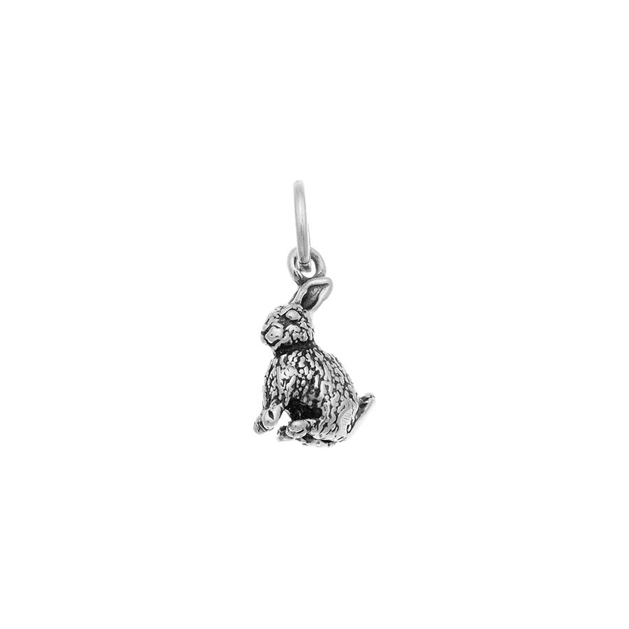 CHARM CONIGLIO - RASPINI