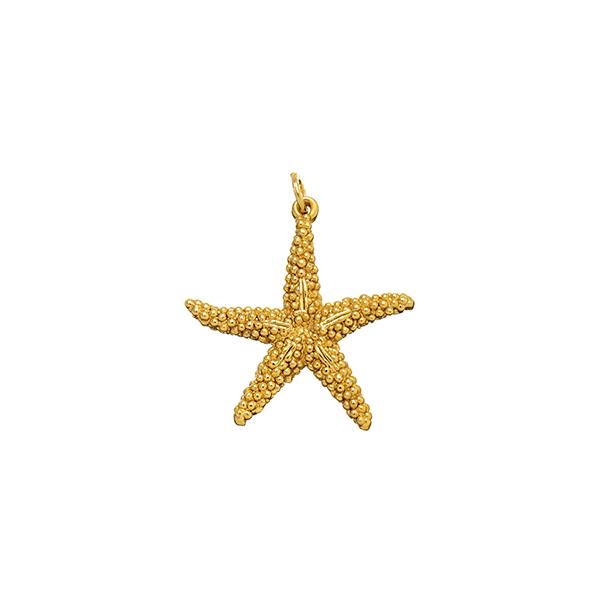 CHARM STELLA MARINA DORATA GRANDE - RASPINI