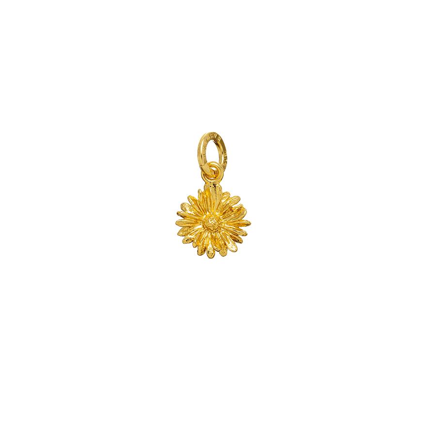 CHARM MARGHERITA DORATA - RASPINI