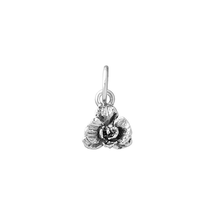 CHARM ORCHIDEA - RASPINI