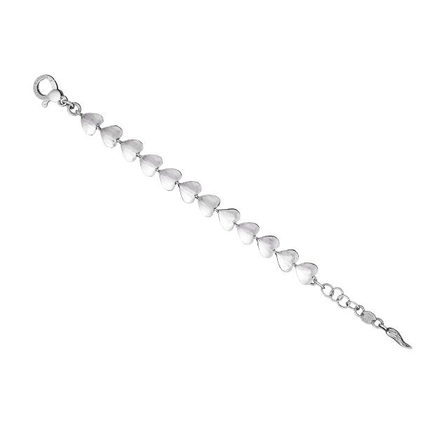 BRACC CUORICINI - RASPINI