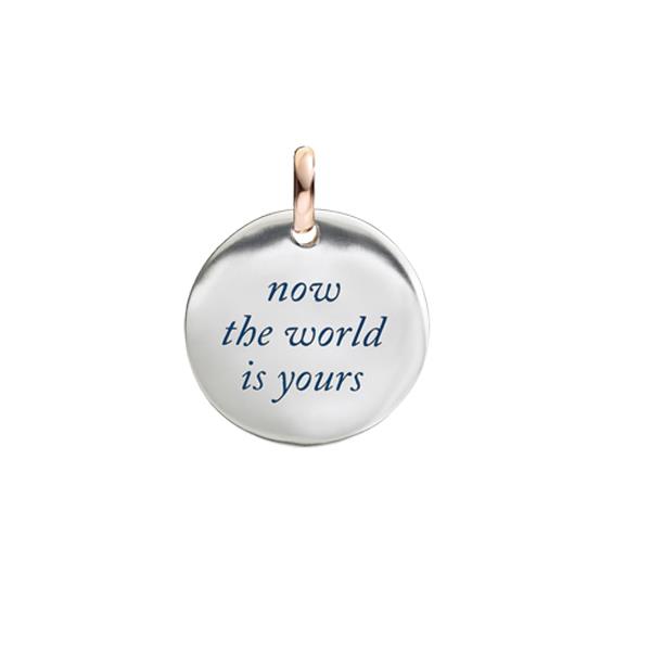 NOW THE WORLD IS YOURS - QUERIOT