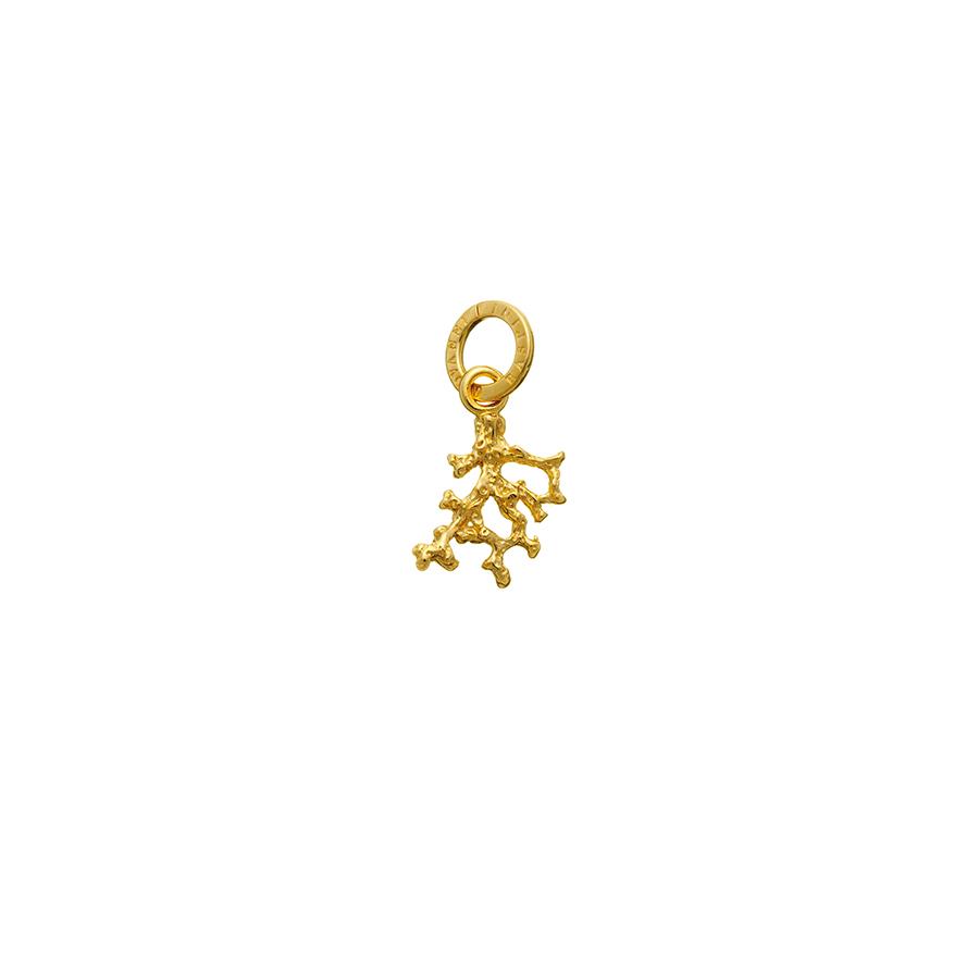 CHARM CORALLINO DORATO - RASPINI