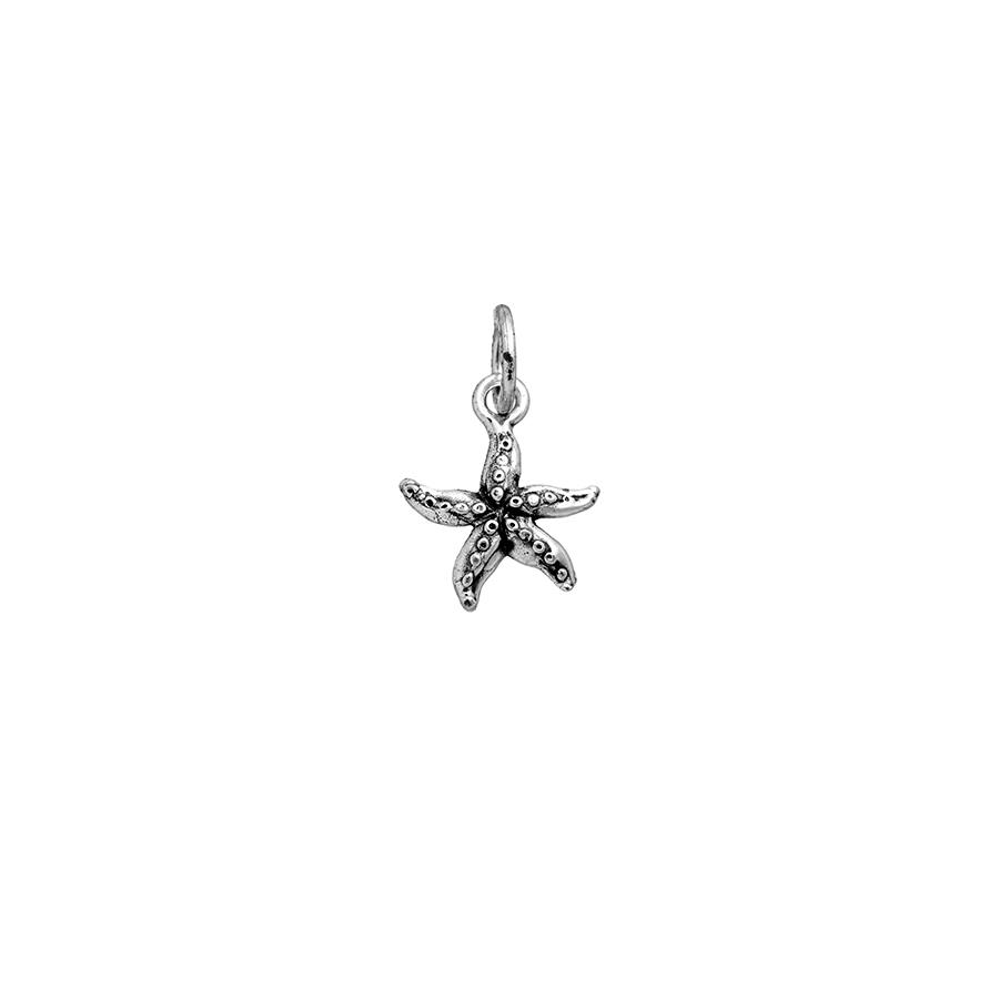 CHARM STELLA MARINA - RASPINI