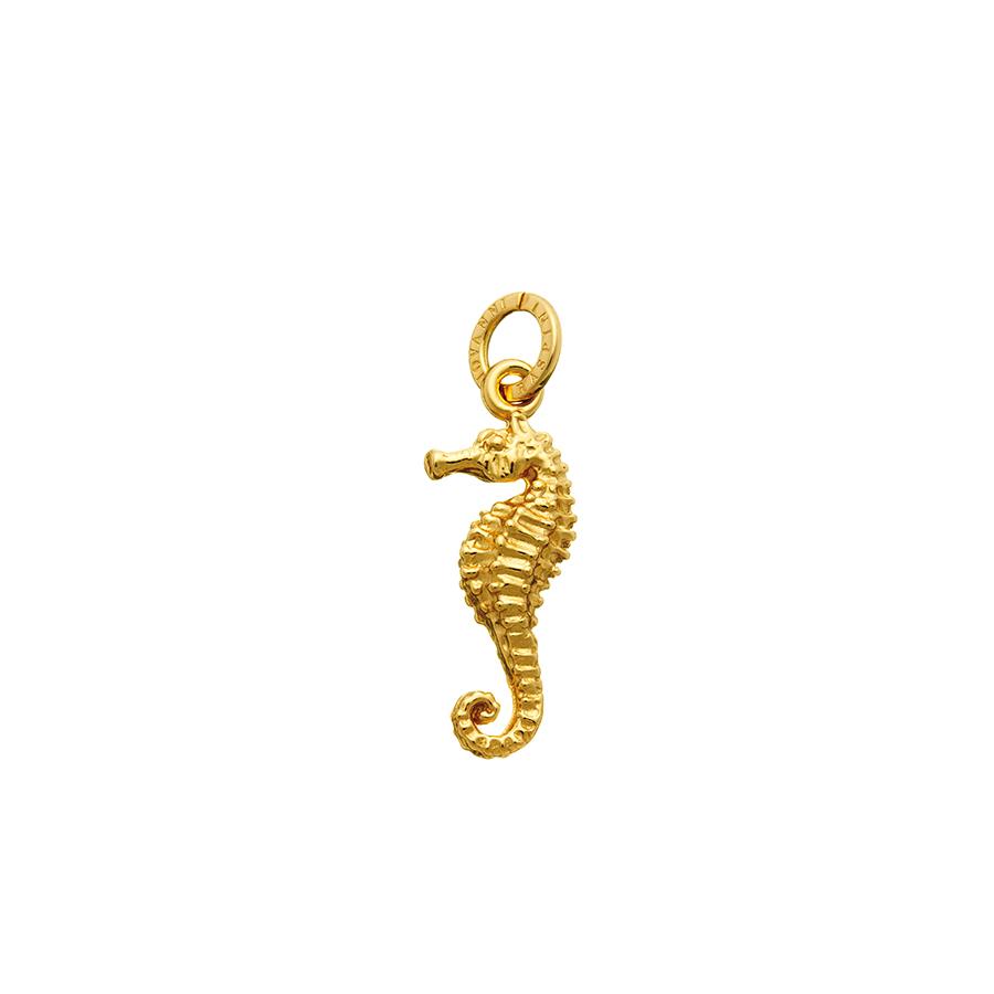 CHARM CAVALLUCCIO MARINO DORATO - RASPINI