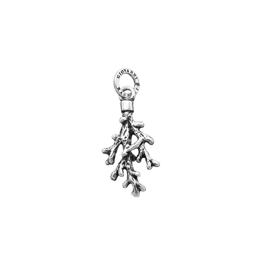 CHARM CORALLO - RASPINI