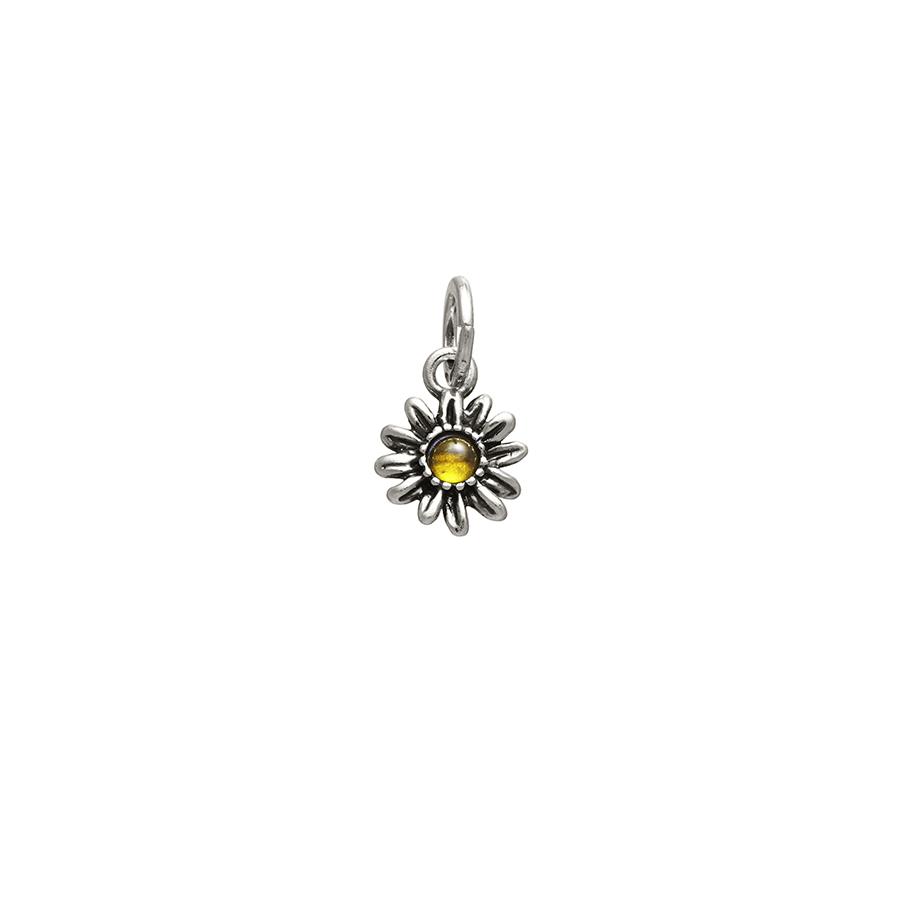 CHARM MARGHERITA COLOR - RASPINI