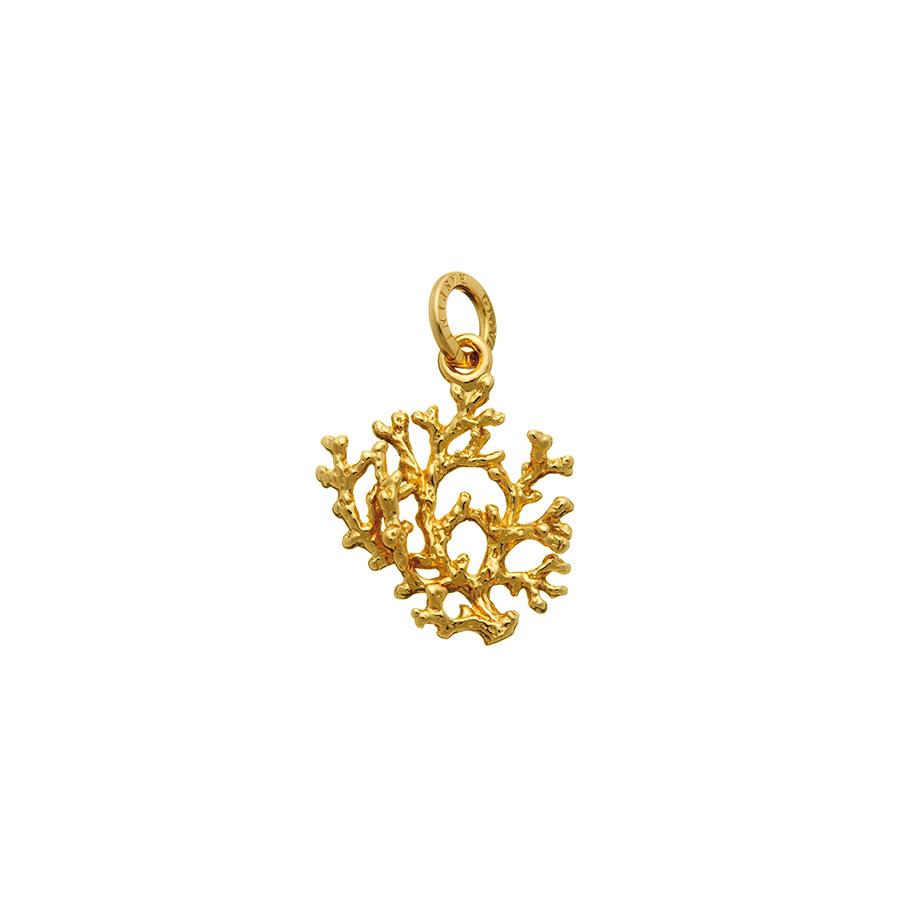 CHARM CORALLO DORATO - RASPINI
