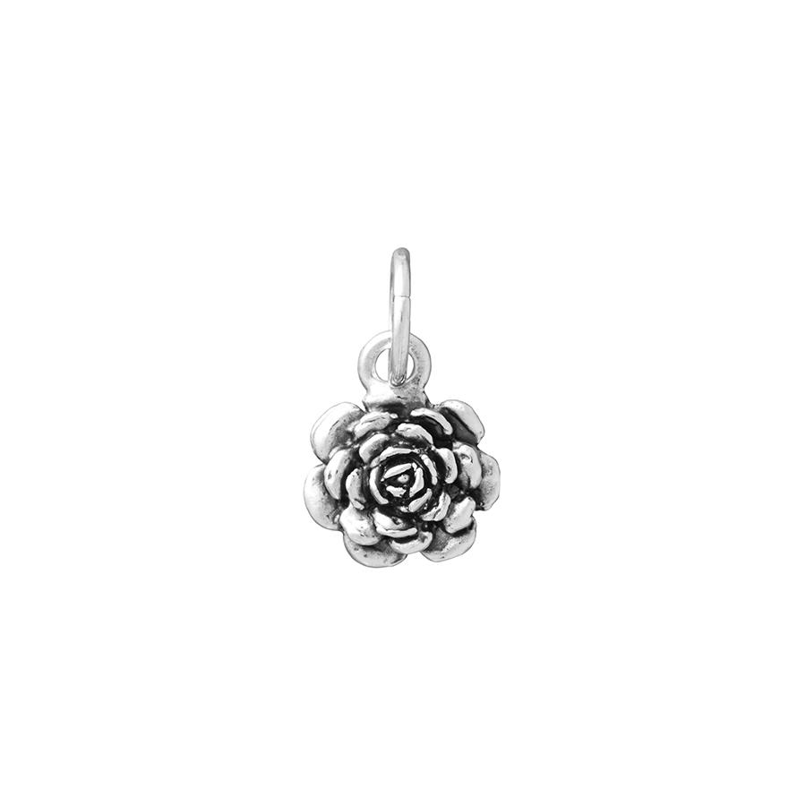 CHARM CAMELIA - RASPINI