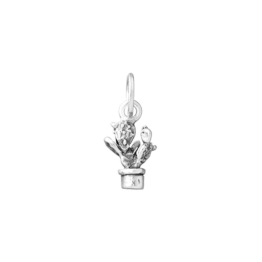 CHARM FICO D'INDIA - RASPINI