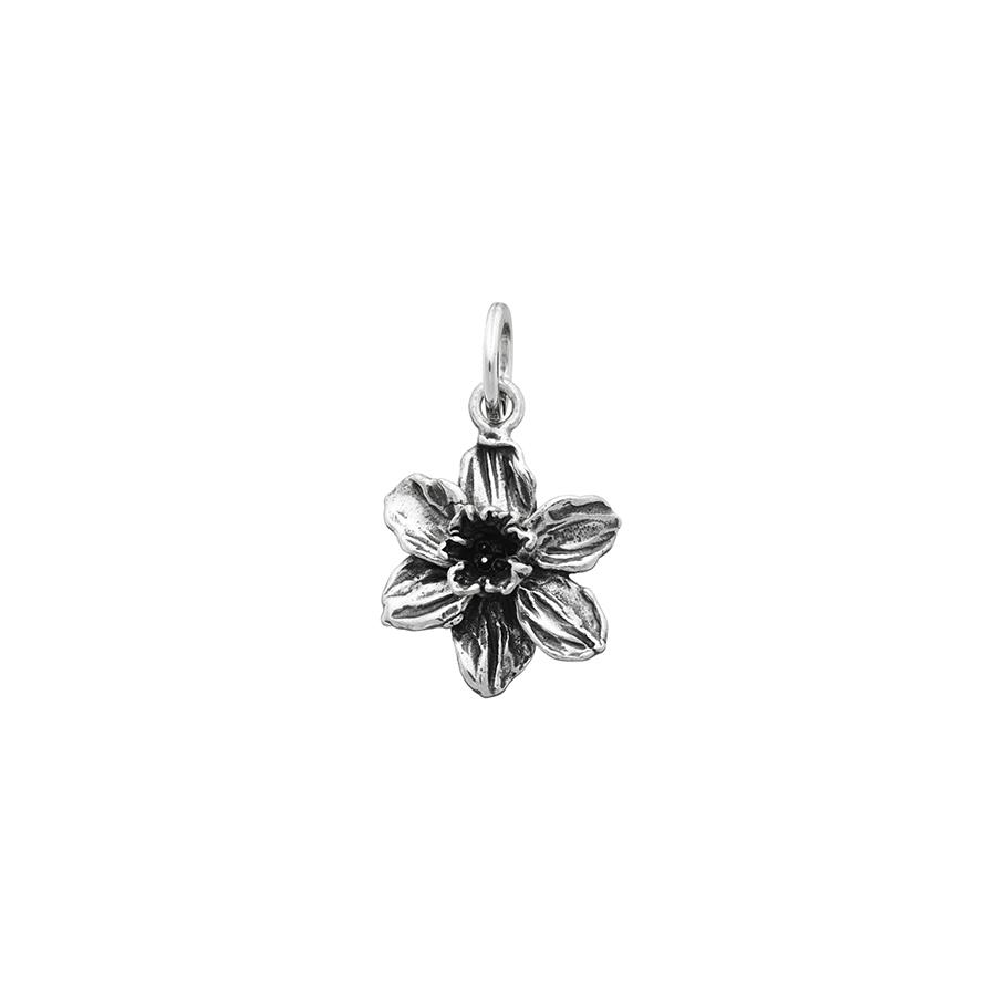 CHARM NARCISO - RASPINI