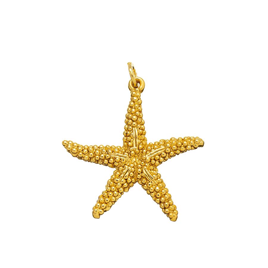 CHARM STELLA MARINA DORATA GRANDE - RASPINI