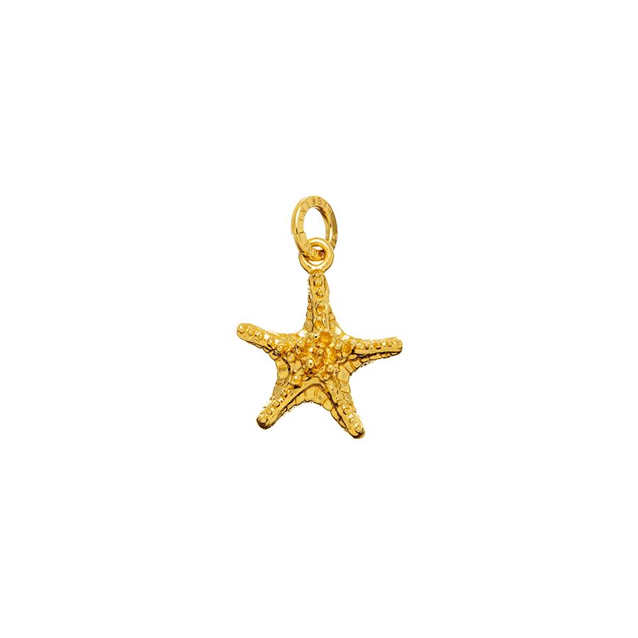 CHARM STELLA GRASSA DORATA - RASPINI