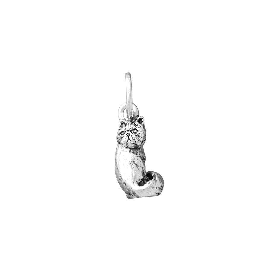 CHARM GATTO PERSIANO - RASPINI