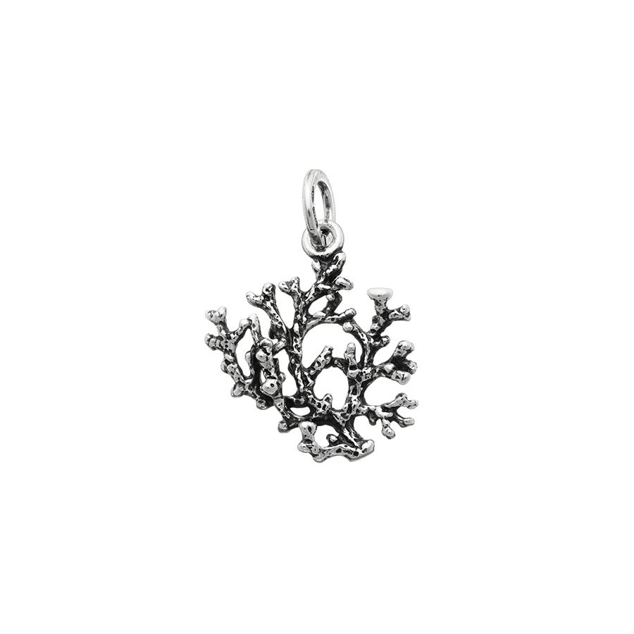 CHARM CORALLO - RASPINI